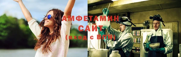 ПСИЛОЦИБИНОВЫЕ ГРИБЫ Алексин