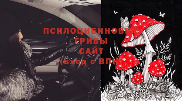 PSILOCYBIN Алексеевка