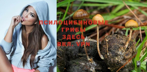 ПСИЛОЦИБИНОВЫЕ ГРИБЫ Алексин
