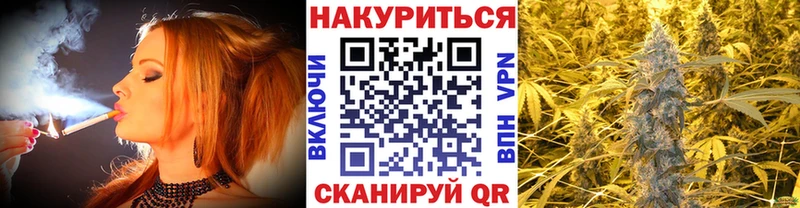 где продают Шимановск Каннабис индика